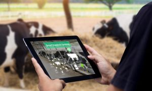 How Technology is Improving Dairy Farms