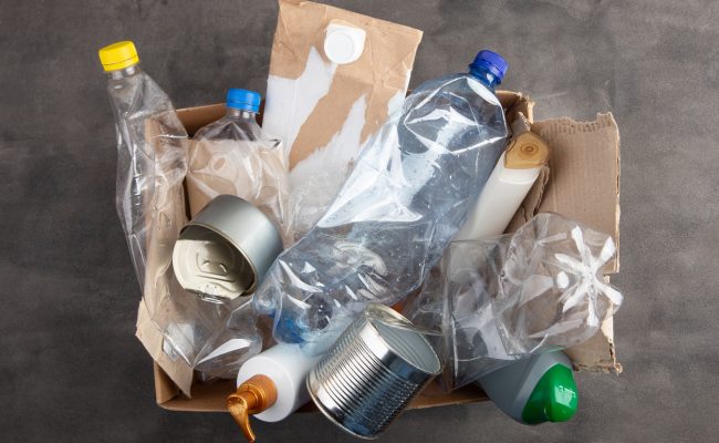13 Fun Facts About Recycling Everyone Should Know
